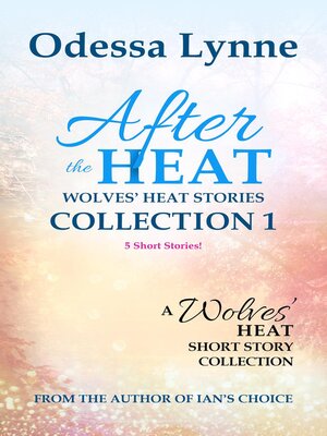 cover image of After the Heat